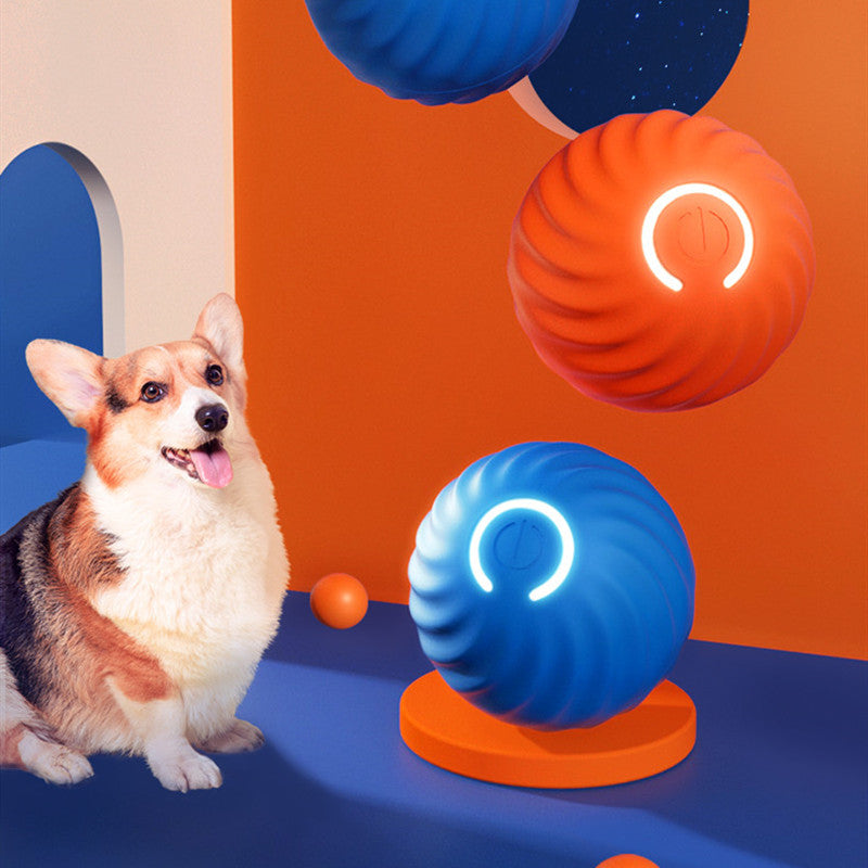 Ultra-Durable Rubber Dog Ball – Bite Resistant Chew Toy