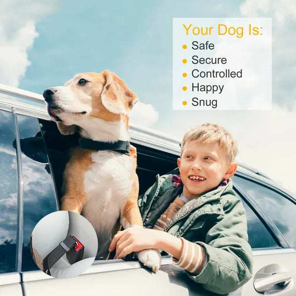 2-Pack Adjustable Pet Seat Belt Leash – Dog & Cat Safety Harness for Car Travel