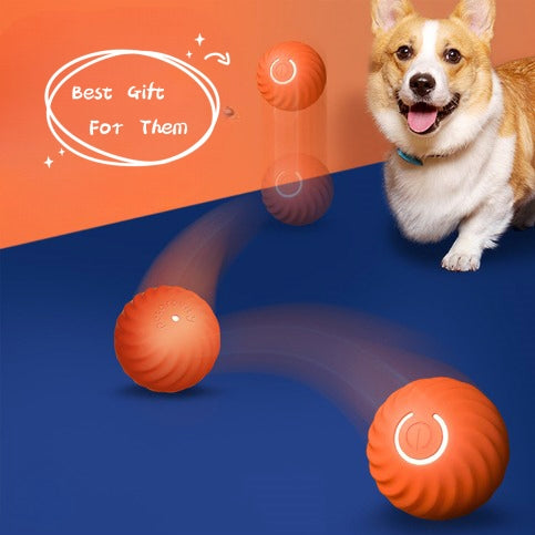 Ultra-Durable Rubber Dog Ball – Bite Resistant Chew Toy