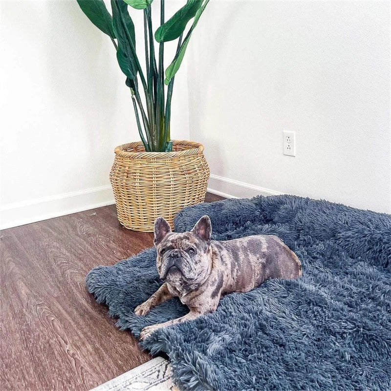 Dog Bed – Comfortable, Soft, and Durable Pet Bed for Small, Medium & Large Dogs